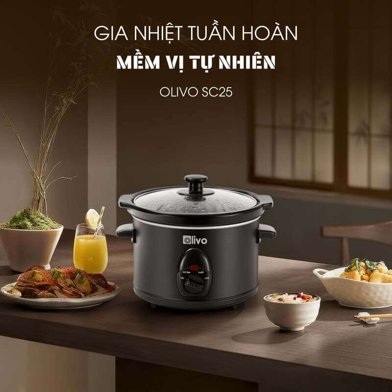 Nồi nấu chậm Olivo SC25 2.5 lít