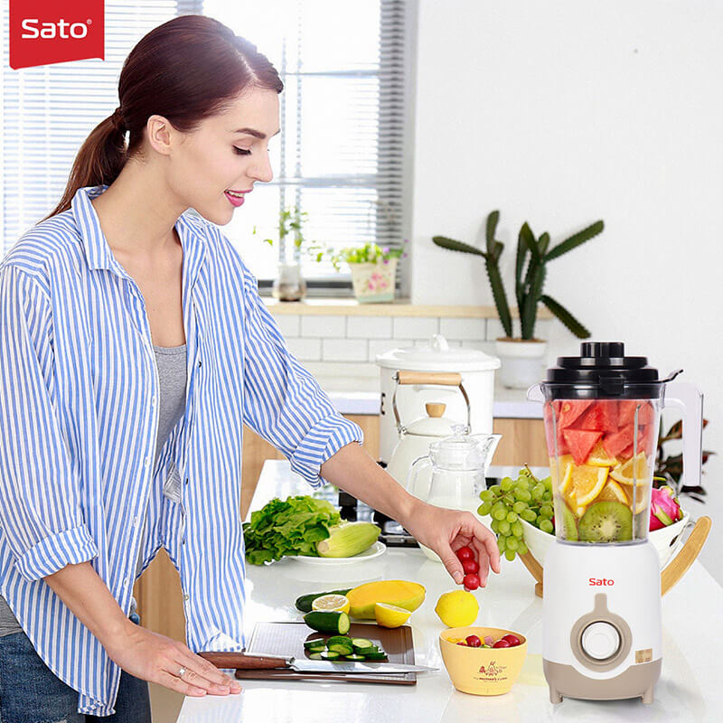 Máy xay sinh tố sato mx8602a 6 Máy xay sinh tố Sato MX8602A